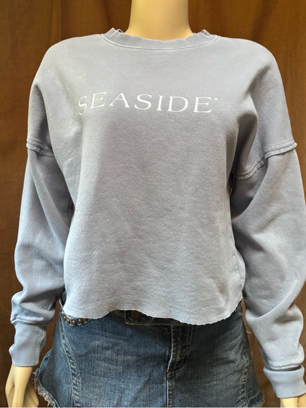 Seaside Cropped Oversized Sweatshirt